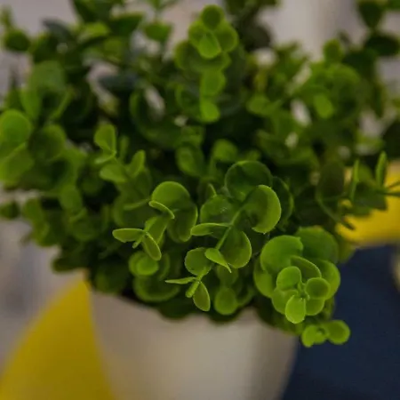 Santos Neighborhood Apartment Lisbon