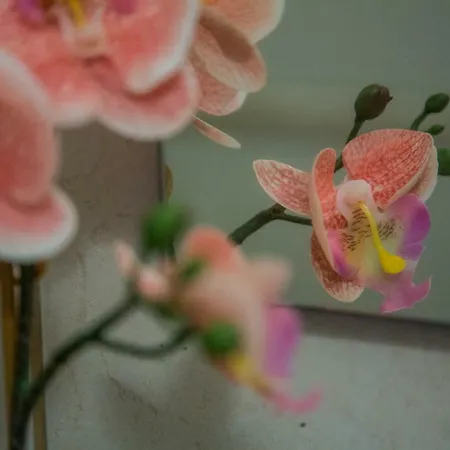 Santos Neighborhood * Lisbon